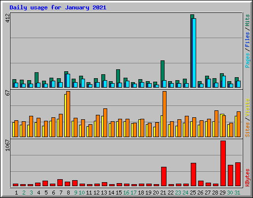 Daily usage for January 2021
