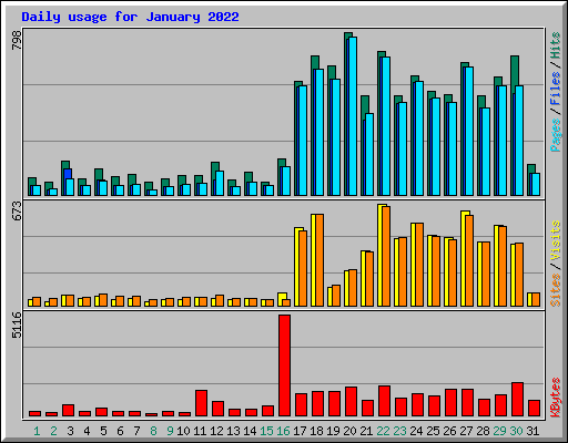 Daily usage for January 2022