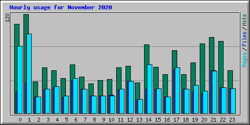 Hourly usage for November 2020