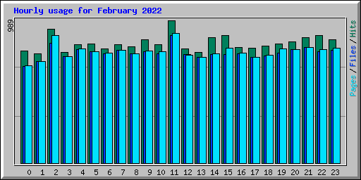 Hourly usage for February 2022