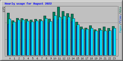 Hourly usage for August 2022