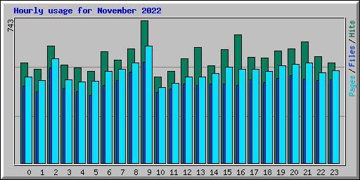 Hourly usage for November 2022
