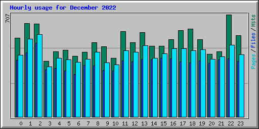 Hourly usage for December 2022