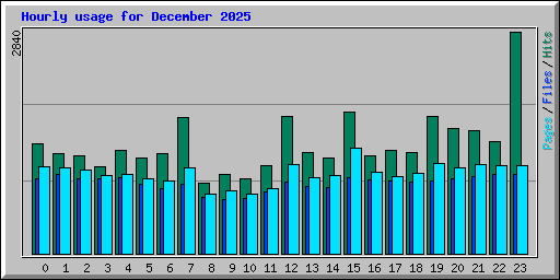 Hourly usage for December 2025