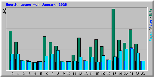 Hourly usage for January 2026